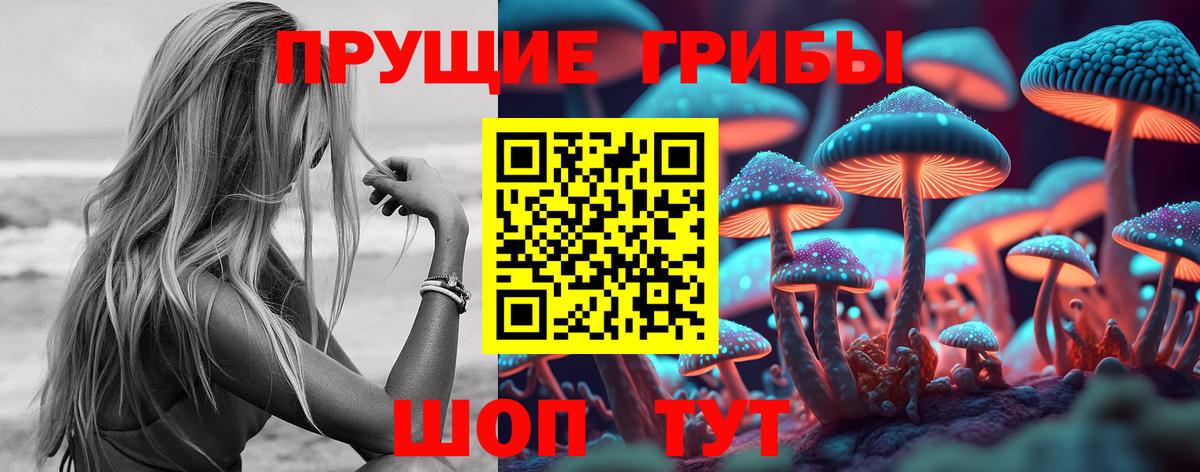 Псилоцибиновые грибы Psilocybine cubensis Алушта